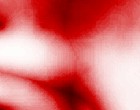 test fertighaus