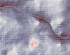 lea massivhaus