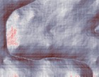 opta massivhaus