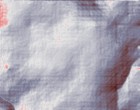 massivhaus firma