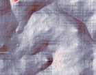 fertighaus test