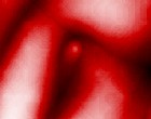 fertighaus test